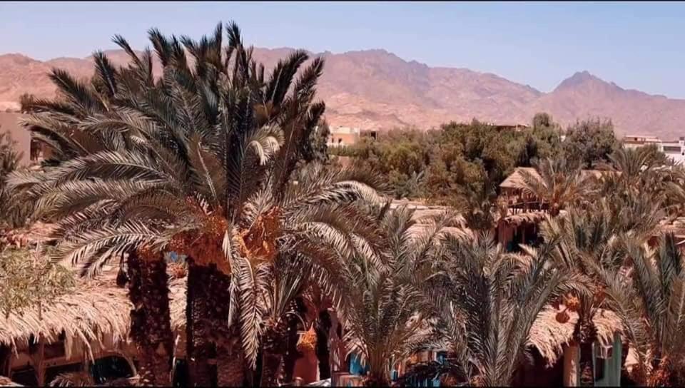 Villa A5Ena House Dahab Exterior foto